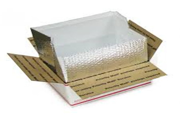 Carton liner